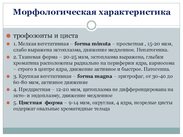 Морфологическая характеристика трофозоиты и циста 1. Мелкая вегетативная – forma