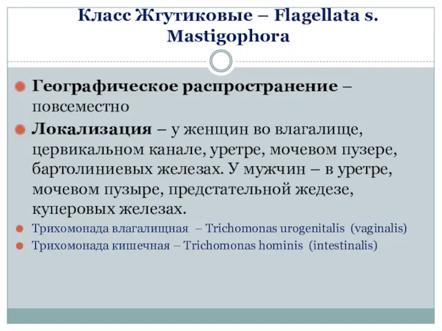 Класс Жгутиковые – Flagellata s. Mastigophora Географическое распространение – повсеместно