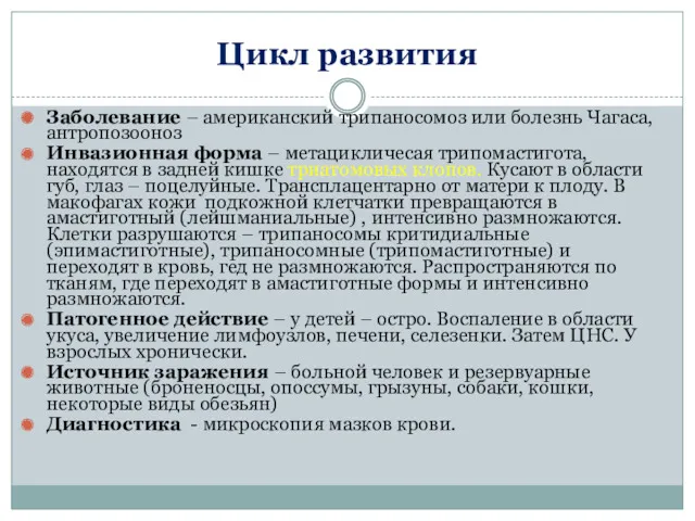 Цикл развития Заболевание – американский трипаносомоз или болезнь Чагаса, антропозооноз