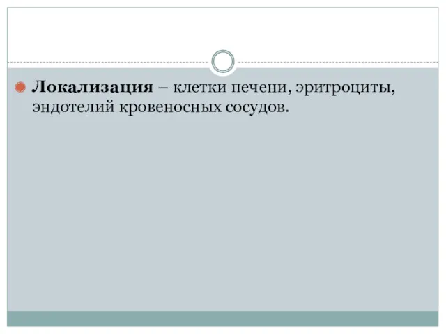 Локализация – клетки печени, эритроциты, эндотелий кровеносных сосудов.