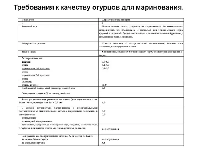 Требования к качеству огурцов для маринования.