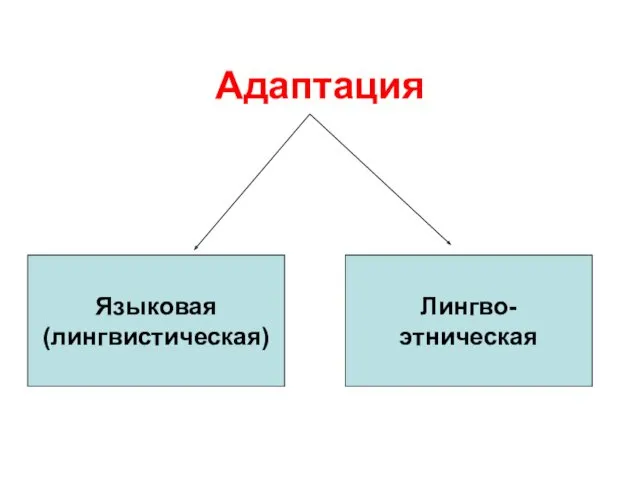 Адаптация Языковая (лингвистическая) Лингво- этническая