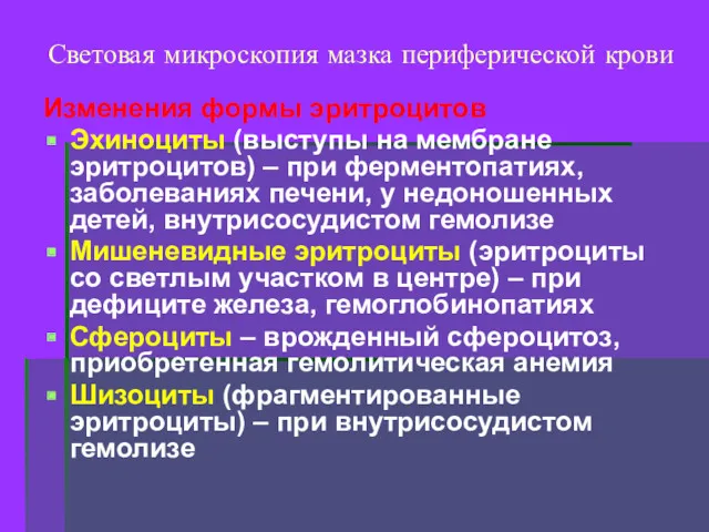 Световая микроскопия мазка периферической крови Изменения формы эритроцитов Эхиноциты (выступы