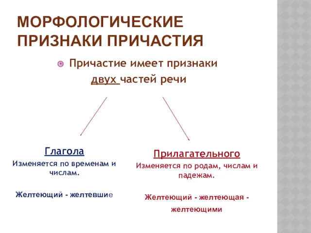 МОРФОЛОГИЧЕСКИЕ ПРИЗНАКИ ПРИЧАСТИЯ Причастие имеет признаки двух частей речи Глагола