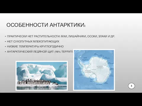 ОСОБЕННОСТИ АНТАРКТИКИ: ПРАКТИЧЕСКИ НЕТ РАСТИТЕЛЬНОСТИ: МХИ, ЛИШАЙНИКИ, ОСОКИ, ЗЛАКИ И