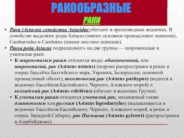 РАКООБРАЗНЫЕ РАКИ Раки (Astacus) семейства Astacidae обитают в пресноводных водоемах.