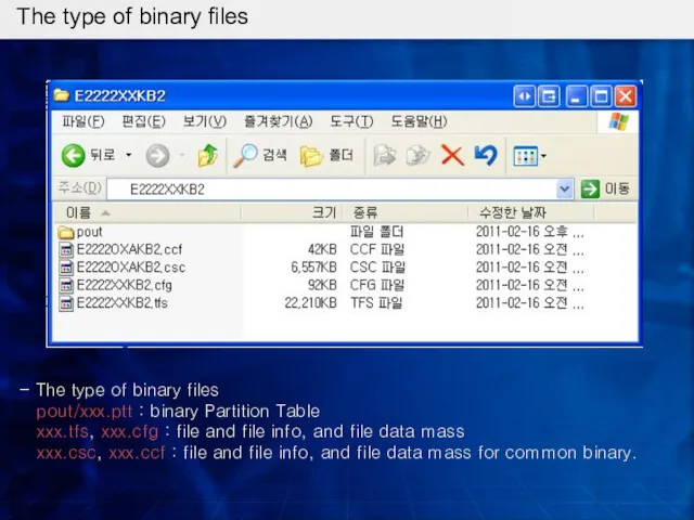 The type of binary files - The type of binary files pout/xxx.ptt :