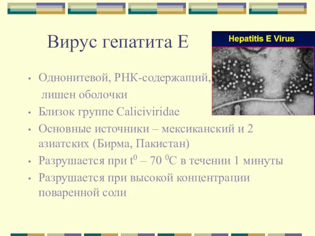 Вирус гепатита Е Однонитевой, РНК-содержащий, лишен оболочки Близок группе Caliciviridae