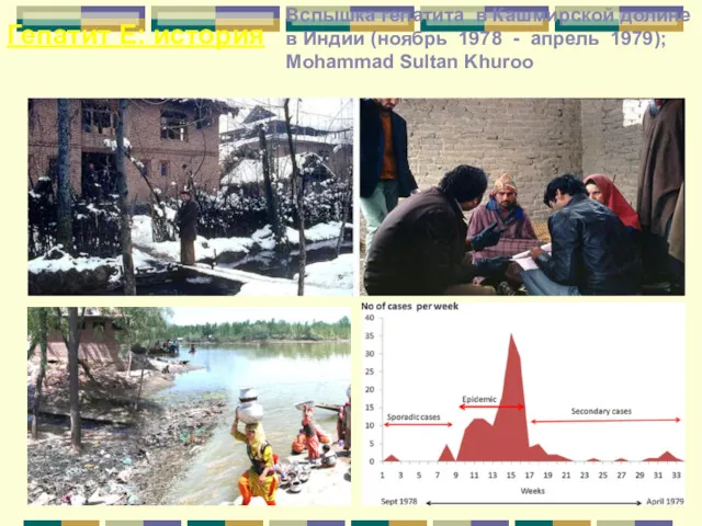 Гепатит Е: история Вспышка гепатита в Кашмирской долине в Индии
