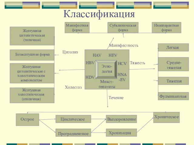 Классификация Манифестная форма Инаппарантная форма Субклиническая форма Цитолиз Холестаз Течение