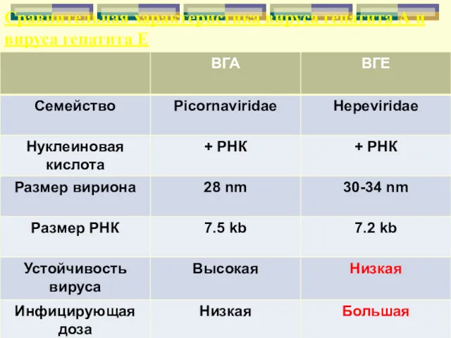 Сравнительная характеристика вируса гепатита А и вируса гепатита Е