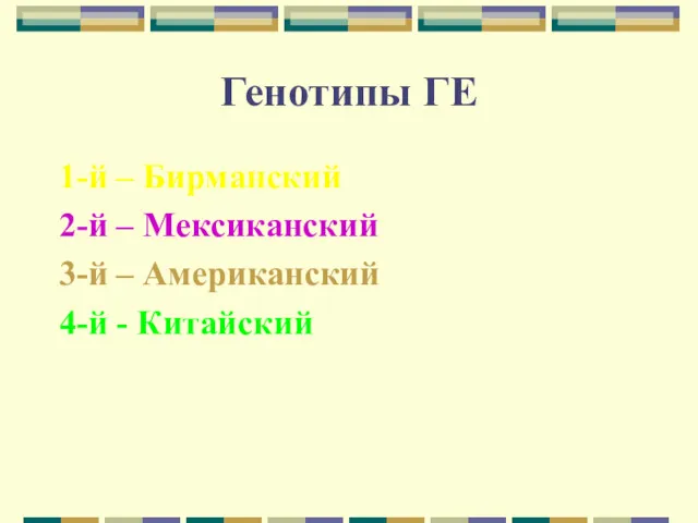 Генотипы ГЕ 1-й – Бирманский 2-й – Мексиканский 3-й – Американский 4-й - Китайский