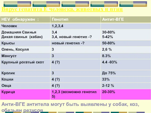 Вирус гепатита Е человека, животных и птиц Анти-ВГЕ антитела могут