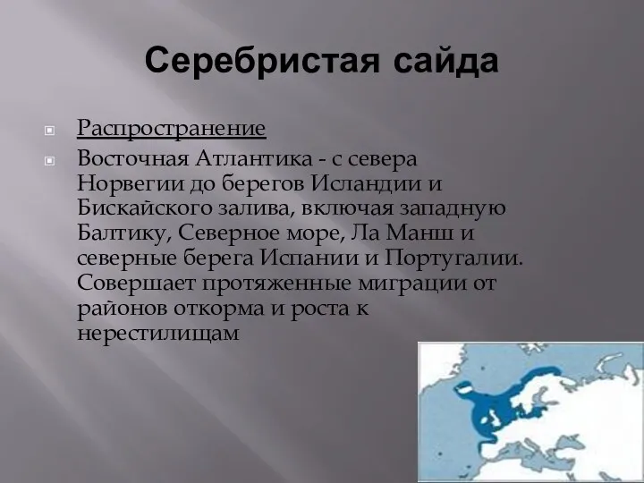 Серебристая сайда Распространение Восточная Атлантика - с севера Норвегии до берегов Исландии и