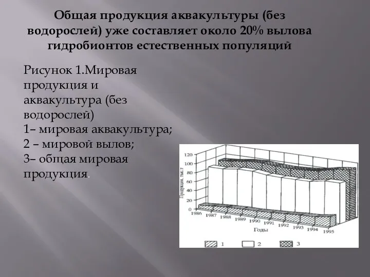 Общая продукция аквакультуры (без водорослей) уже составляет около 20% вылова гидробионтов естественных популяций