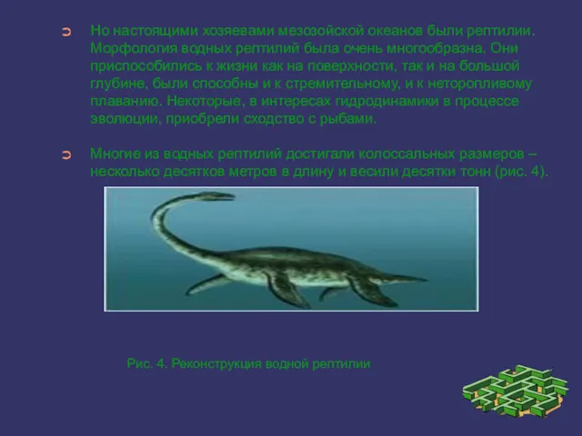 Но настоящими хозяевами мезозойской океанов были рептилии. Морфология водных рептилий