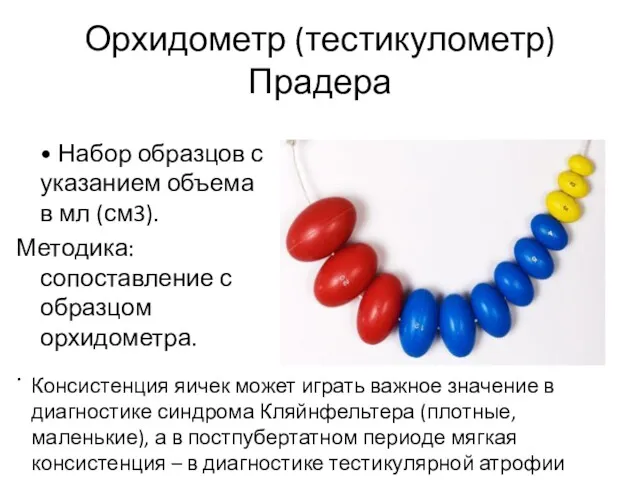 Орхидометр (тестикулометр) Прадера • Набор образцов с указанием объема в