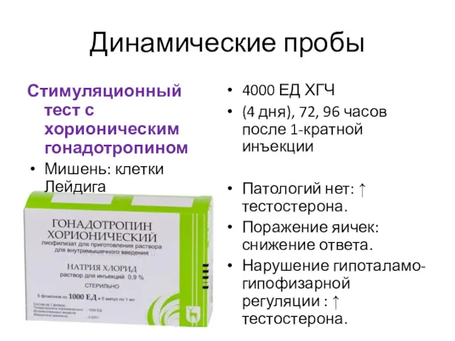 Динамические пробы Стимуляционный тест с хорионическим гонадотропином Мишень: клетки Лейдига