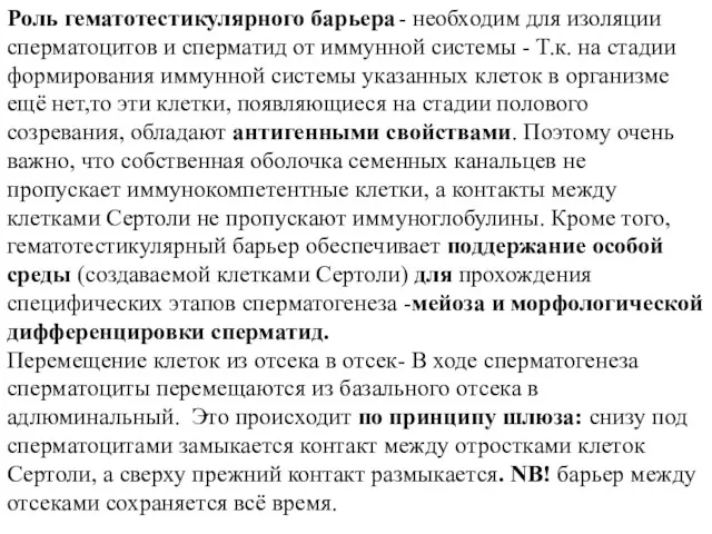 Роль гематотестикулярного барьера - необходим для изоляции сперматоцитов и сперматид