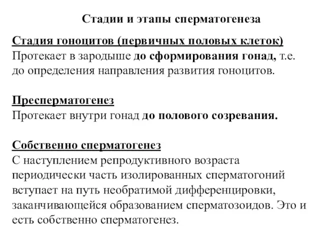 Стадии и этапы сперматогенеза Стадия гоноцитов (первичных половых клеток) Протекает