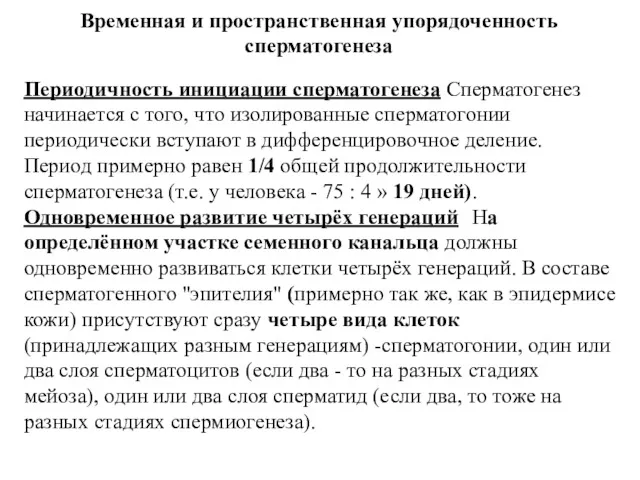 Временная и пространственная упорядоченность сперматогенеза Периодичность инициации сперматогенеза Сперматогенез начинается