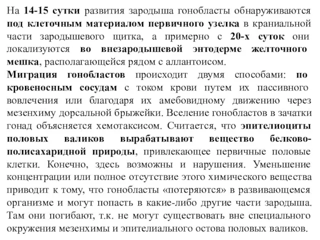 На 14-15 сутки развития зародыша гонобласты обнаруживаются под клеточным материалом