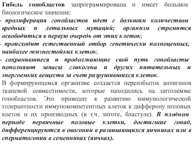 Гибель гонобластов запрограммирована и имеет большое биологическое значение: пролиферация гонобластов