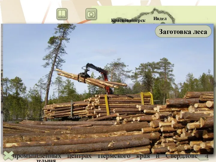 По уровню обеспеченности лесными ресурсами район уступает в европейской части страны только Северному