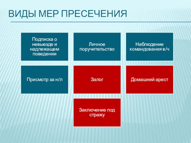 ВИДЫ МЕР ПРЕСЕЧЕНИЯ Подписка о невыезде и надлежащем поведении Личное