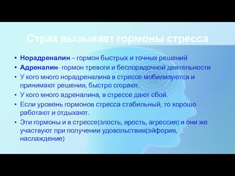 Страх вызывает гормоны стресса Норадреналин – гормон быстрых и точных