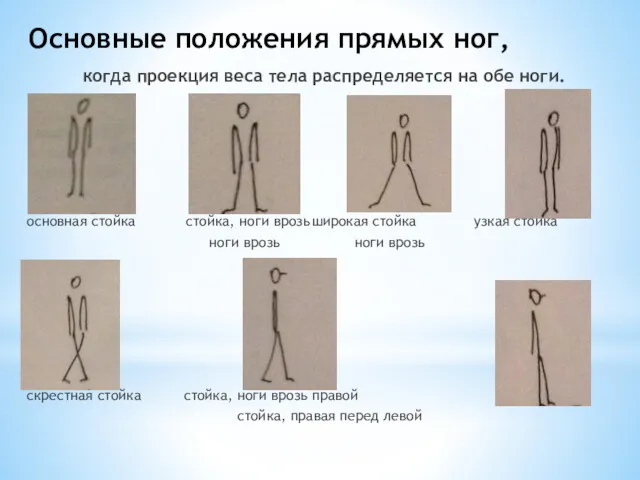 Основные положения прямых ног, когда проекция веса тела распределяется на