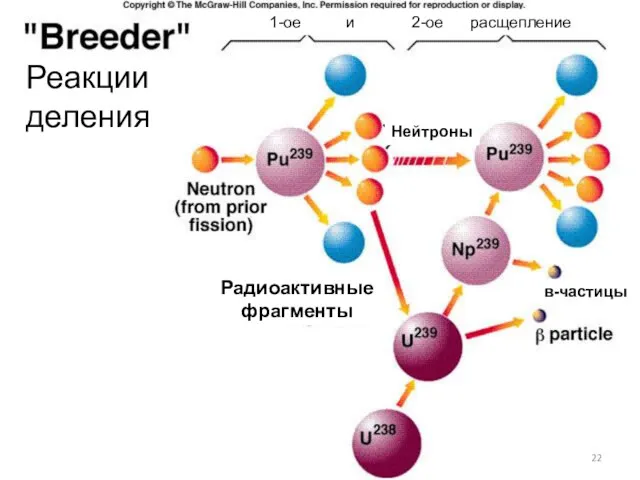 Нейтроны в-частицы Радиоактивные фрагменты 1-ое и 2-ое расщепление Реакции деления
