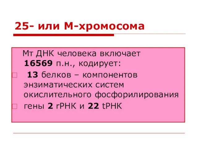 25- или М-хромосома Мт ДНК человека включает 16569 п.н., кодирует: