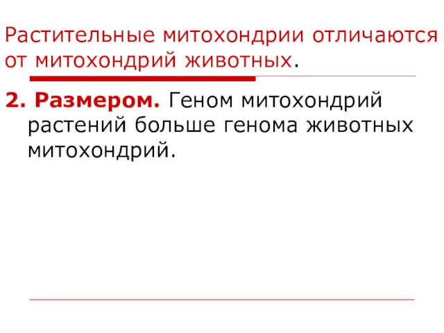 Растительные митохондрии отличаются от митохондрий животных. 2. Размером. Геном митохондрий растений больше генома животных митохондрий.