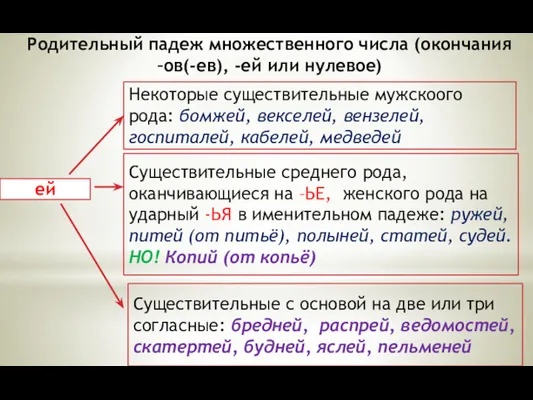 Родительный падеж множественного числа (окончания –ов(-ев), -ей или нулевое) ей Некоторые существительные мужскоого