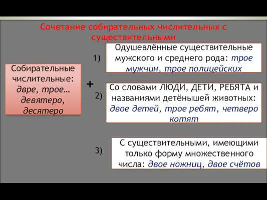 Собирательные числительные: двре, трое… девятеро, десятеро Одушевлённые существительные мужского и среднего рода: трое