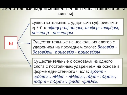 Именительный падеж множественного числа (окончания –а или –ы) ы существительные с ударными суффиксами-ер/-ёр: