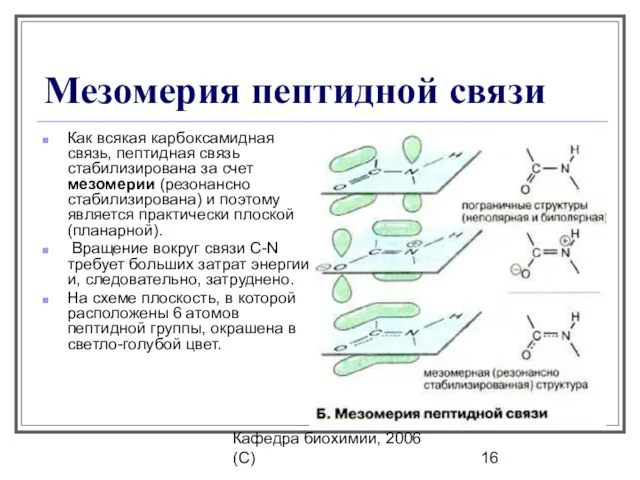 Кафедра биохимии, 2006 (C) Мезомерия пептидной связи Как всякая карбоксамидная связь, пептидная связь