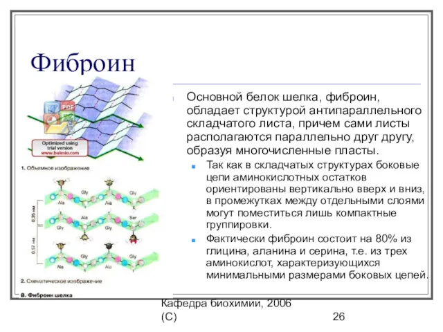 Кафедра биохимии, 2006 (C) Фиброин Ocновной белок шелка, фиброин, обладает структурой антипараллельного складчатого