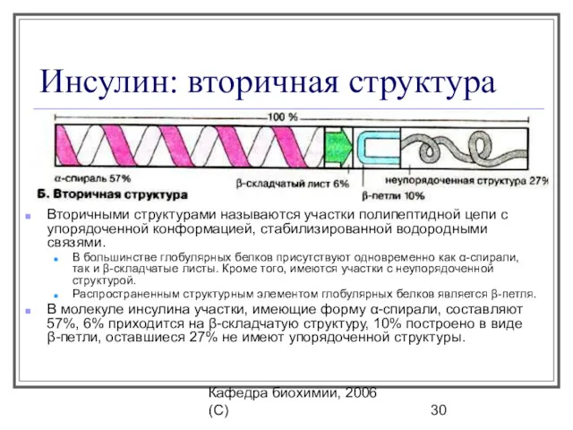Кафедра биохимии, 2006 (C) Инсулин: вторичная структура Вторичными структурами называются участки полипептидной цепи