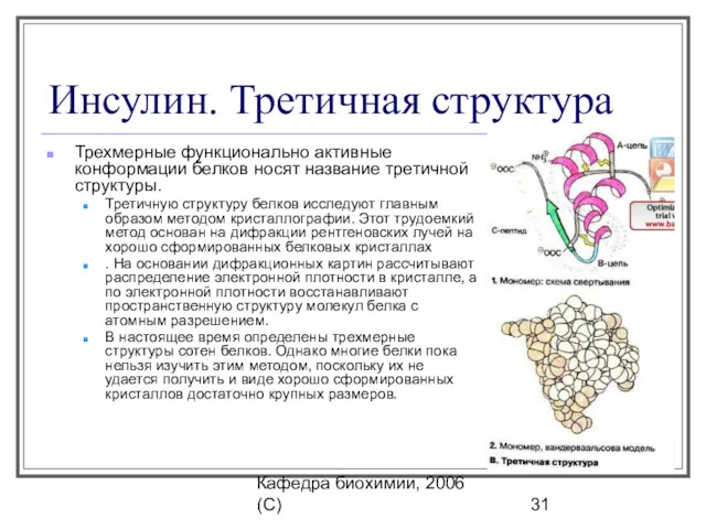 Кафедра биохимии, 2006 (C) Инсулин. Третичная структура Трехмерные функционально активные конформации белков носят