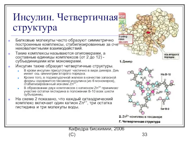 Кафедра биохимии, 2006 (C) Инсулин. Четвертичная структура Белковые молекулы часто образуют симметрично построенные