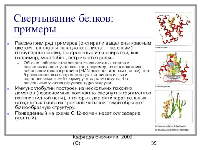 Кафедра биохимии, 2006 (C) Свертывание белков: примеры Рассмотрим ряд примеров (α-спирали выделены красным