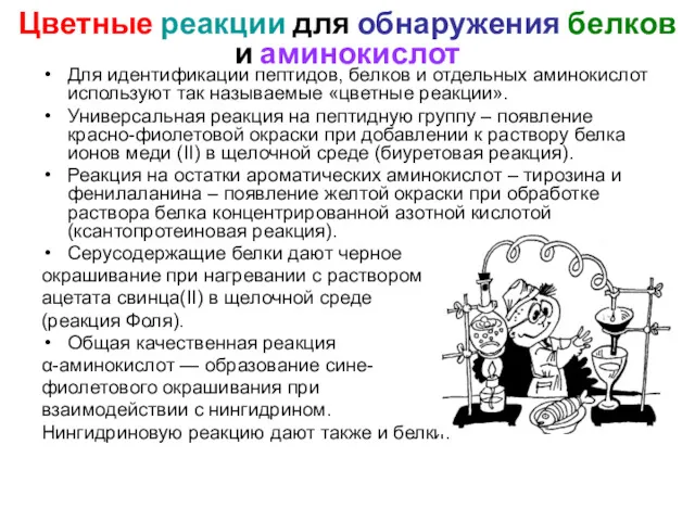 Цветные реакции для обнаружения белков и аминокислот Для идентификации пептидов,