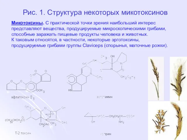 Рис. 1. Структура некоторых микотоксинов Микотоксины. С практической точки зрения