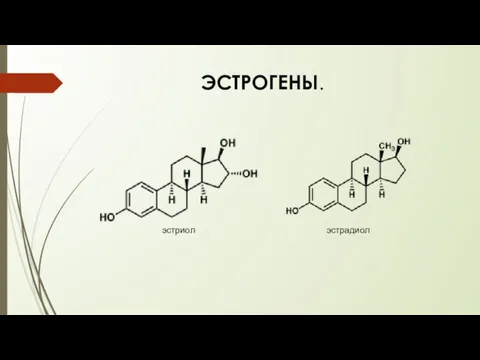 эстриол эстрадиол ЭСТРОГЕНЫ.