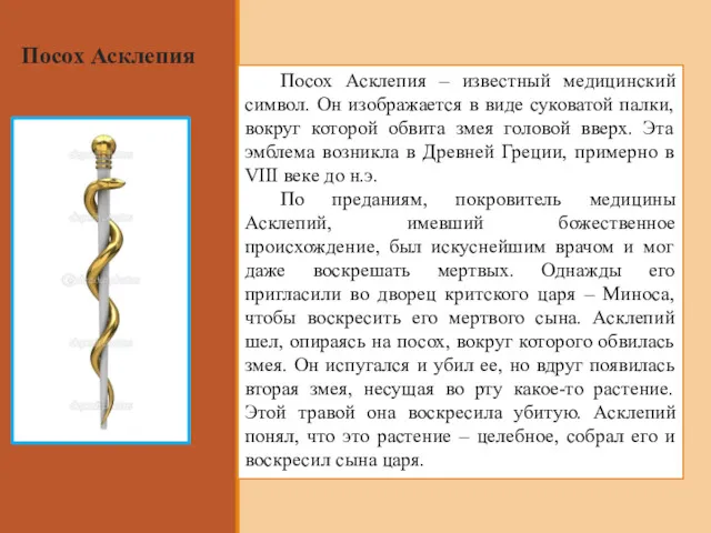 Посох Асклепия Посох Асклепия – известный медицинский символ. Он изображается в виде суковатой