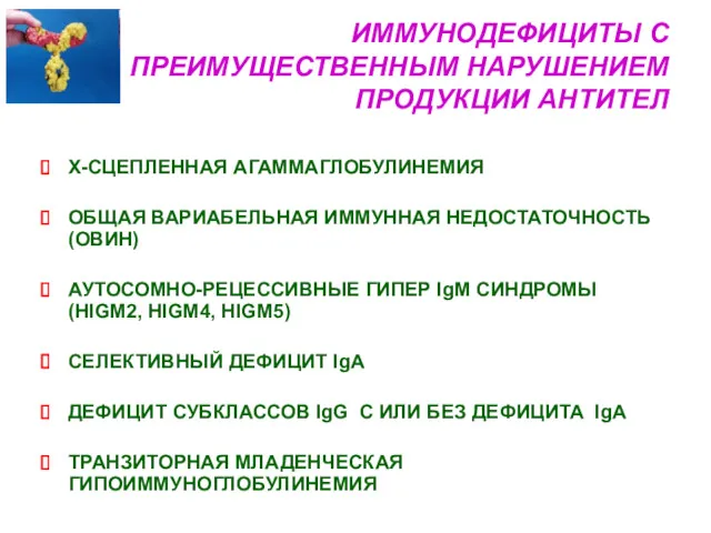 ИММУНОДЕФИЦИТЫ С ПРЕИМУЩЕСТВЕННЫМ НАРУШЕНИЕМ ПРОДУКЦИИ АНТИТЕЛ Х-СЦЕПЛЕННАЯ АГАММАГЛОБУЛИНЕМИЯ ОБЩАЯ ВАРИАБЕЛЬНАЯ