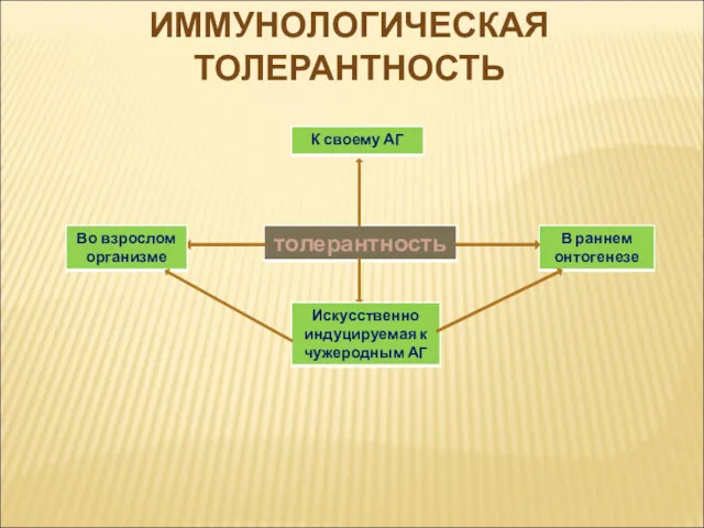 ИММУНОЛОГИЧЕСКАЯ ТОЛЕРАНТНОСТЬ