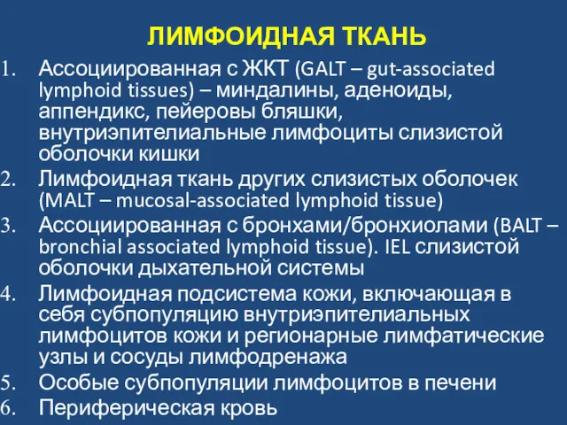 ЛИМФОИДНАЯ ТКАНЬ Ассоциированная с ЖКТ (GALT – gut-associated lymphoid tissues)